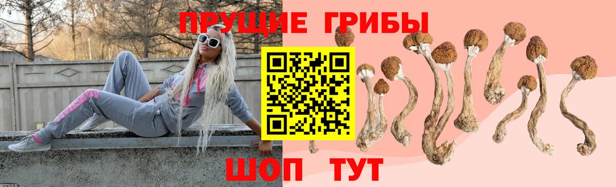 Санкт-Петербург  Псилоцибиновые грибы Psilocybe  Вход с VPN  Псилоцибиновые грибы GOLDEN TEACHER 